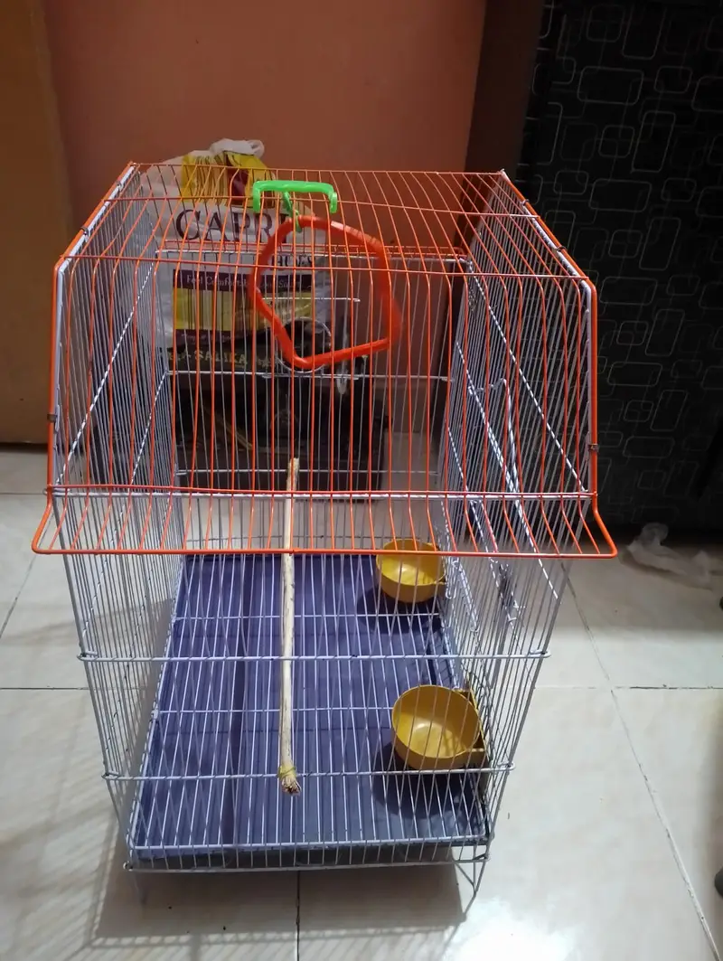 Parrot large size cage — photo 9