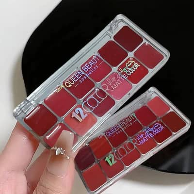 12 colors lip palette