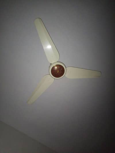 Fans (3 Nos. )