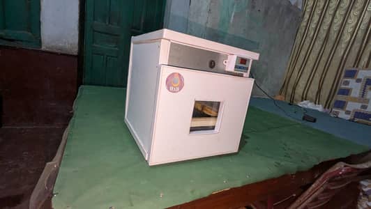Eggs incubator machine for sale