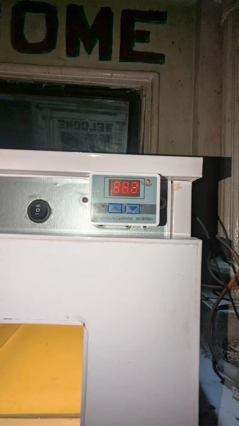 Eggs incubator machine for sale — photo 2