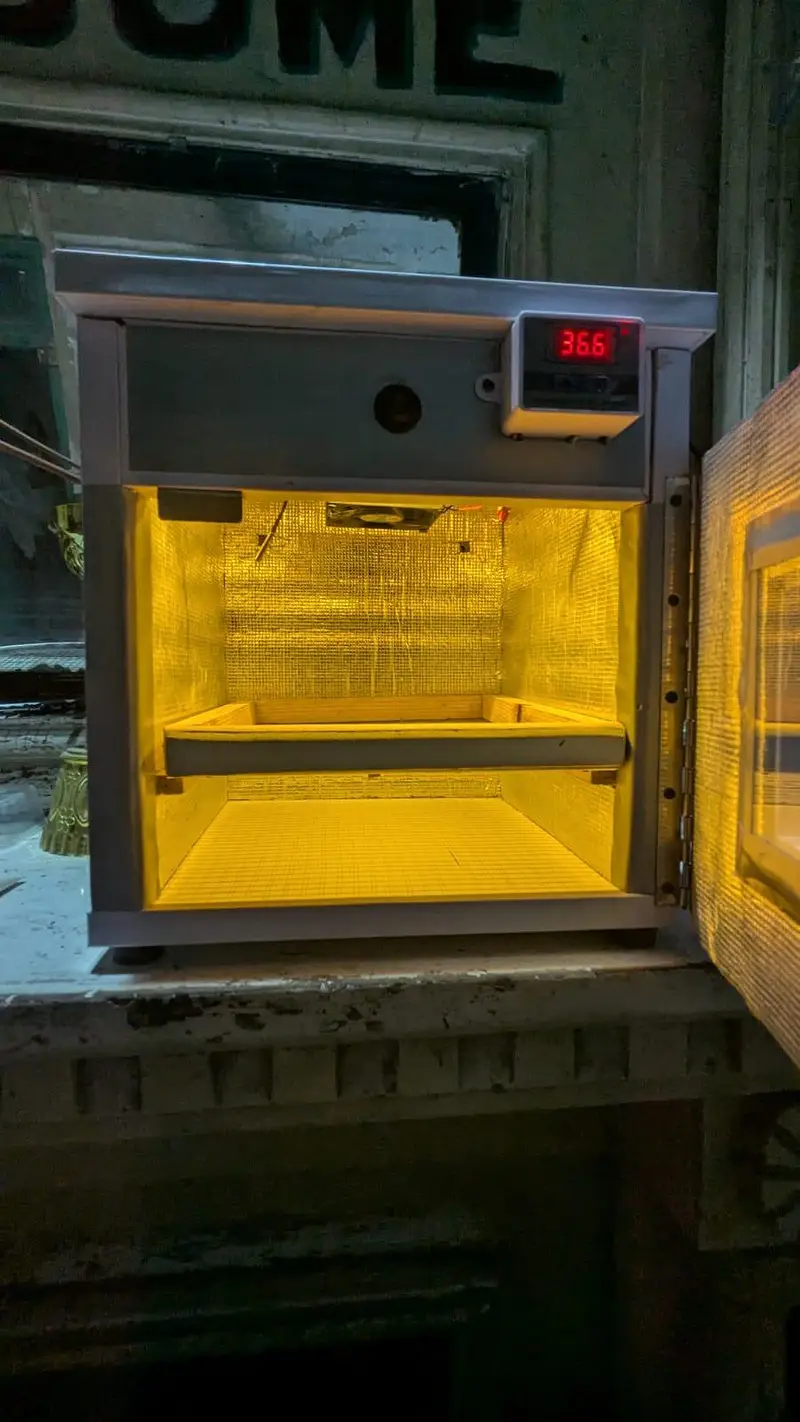 Eggs incubator machine for sale — photo 6