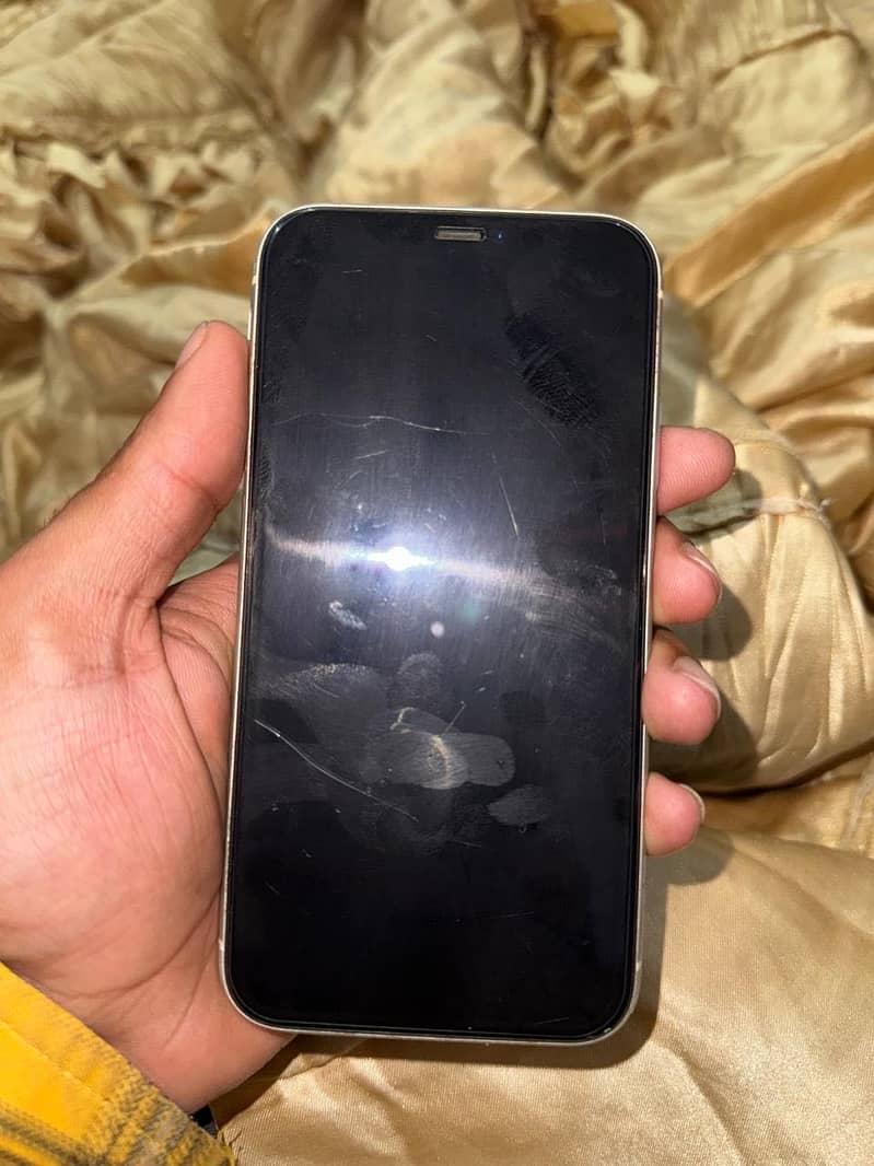 Apple iPhone 11 0