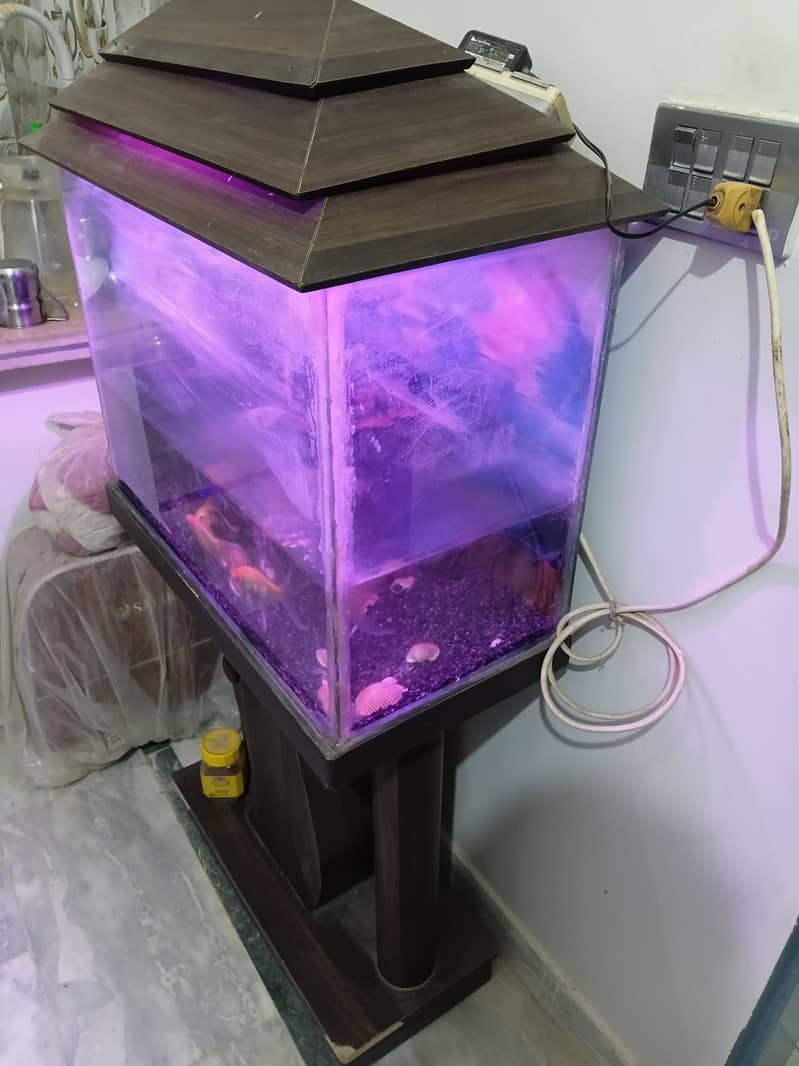 aquarium 1