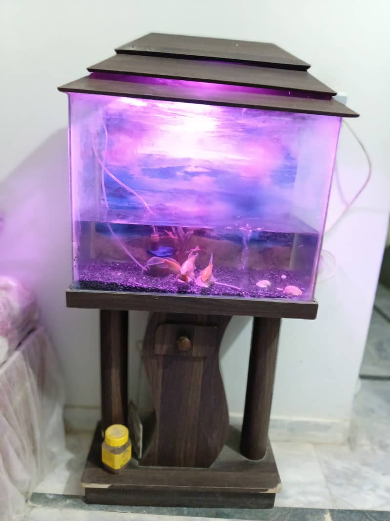 aquarium 2