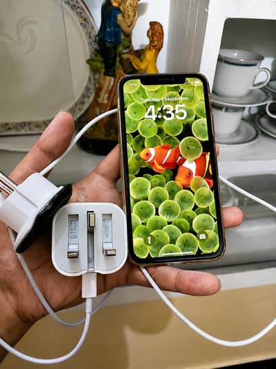 Apple iPhone XS + 25W charger