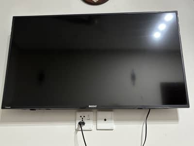 Orient Cheetah 40 FHD Crystal 55 Inches
