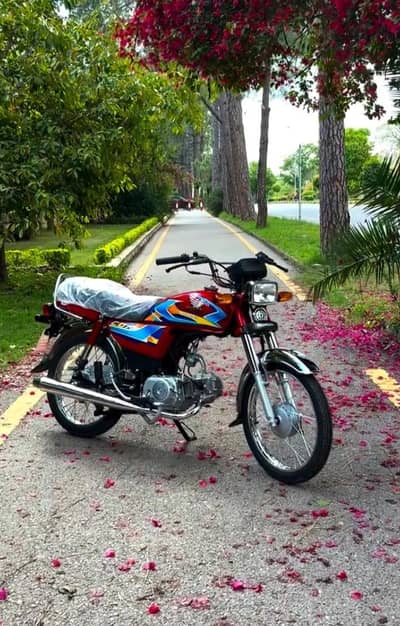 Honda cd 70 2026 modle lush condition