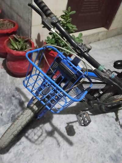 bicycle for kids