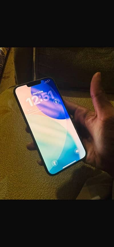 Apple iPhone 13 Pro Max