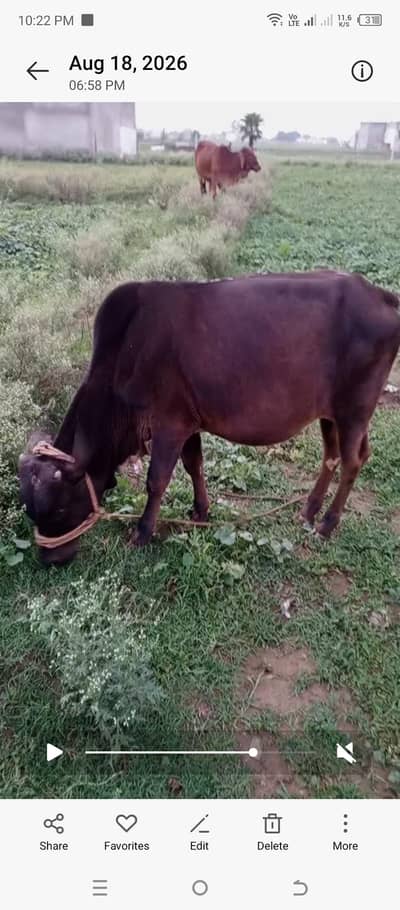 mara pas jaga ke issues ha is le sale kar Raha hu