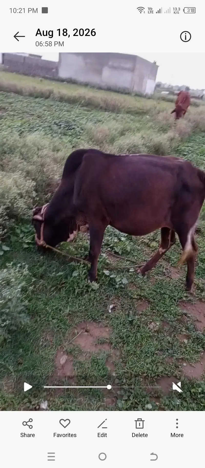 mara pas jaga ke issues ha is le sale kar Raha hu — photo 2