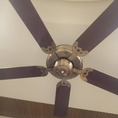 premium quality ceiling fan for sale