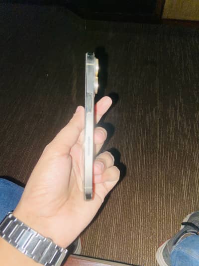 Apple iPhone 13 Pro FU