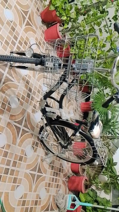 butterfly cycle for sale