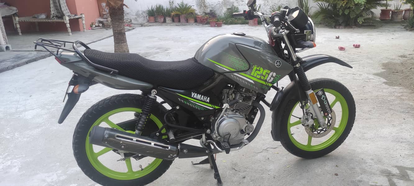 YBR125 2