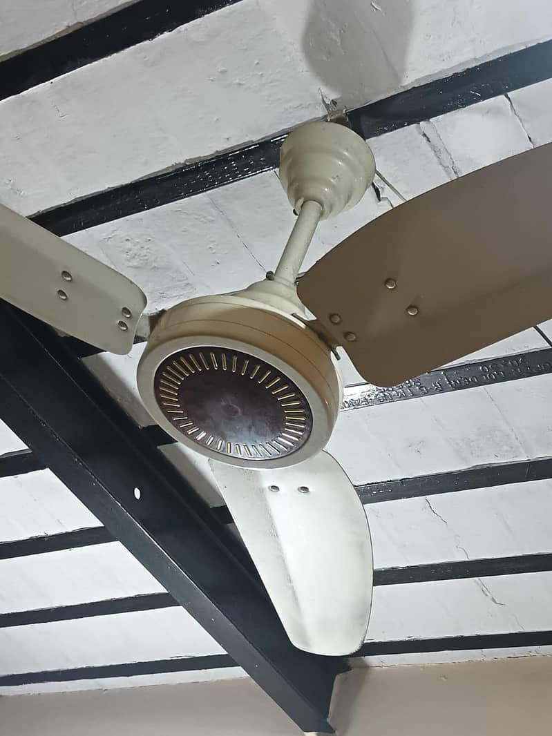 Ceiling fan 1
