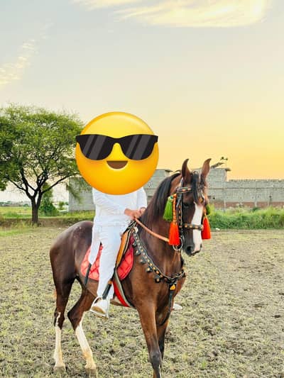 bilkul saf achi chal wali