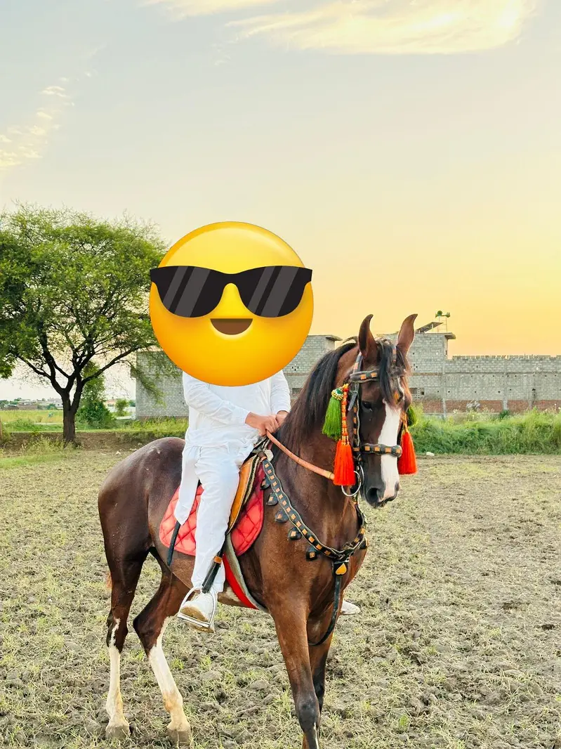 bilkul saf achi chal wali