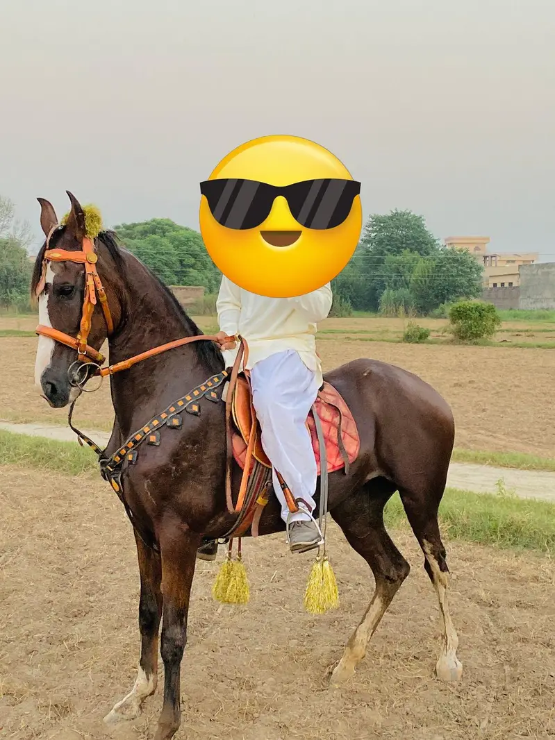 bilkul saf achi chal wali — photo 4
