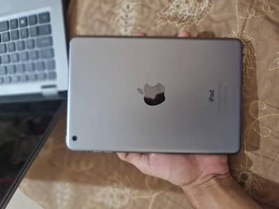 iPad mini 2