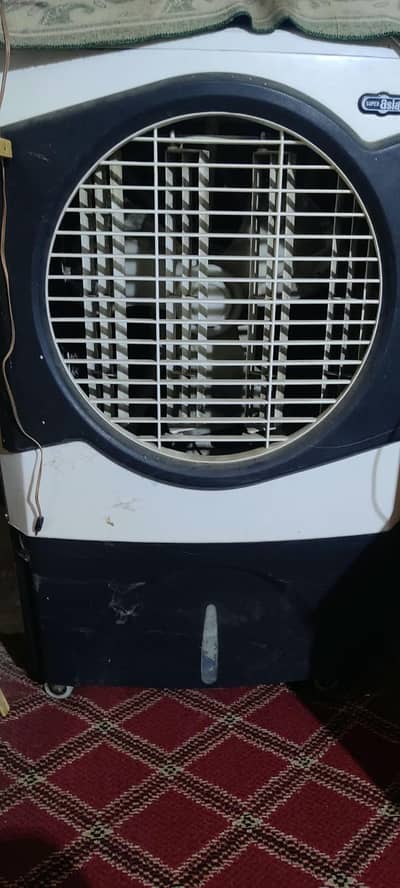 room color