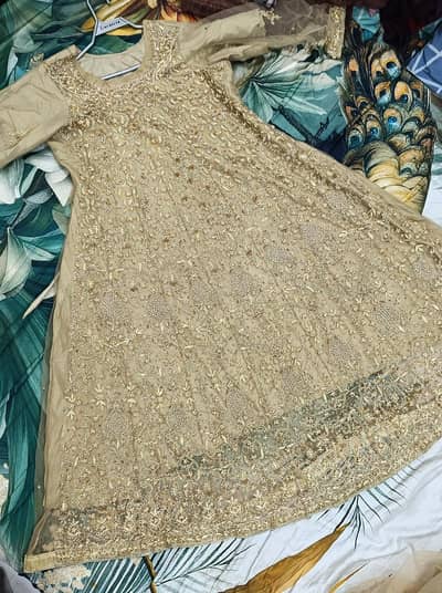 walima maxi