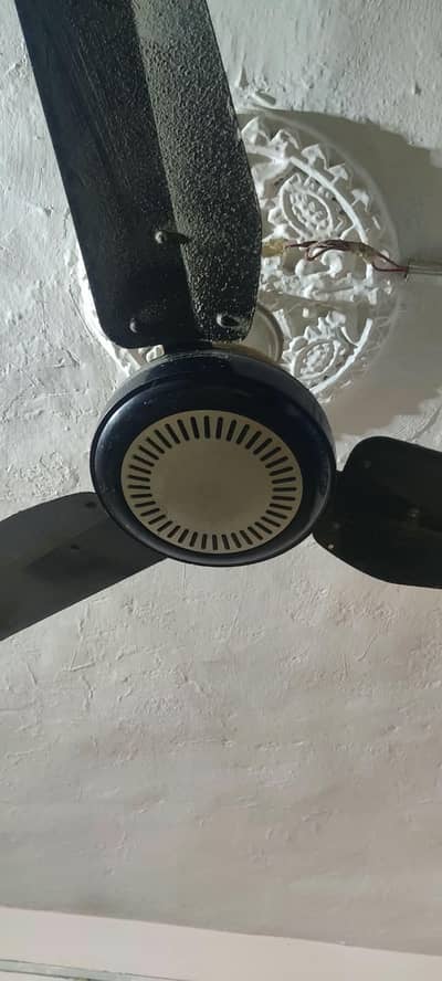 fans 5 available