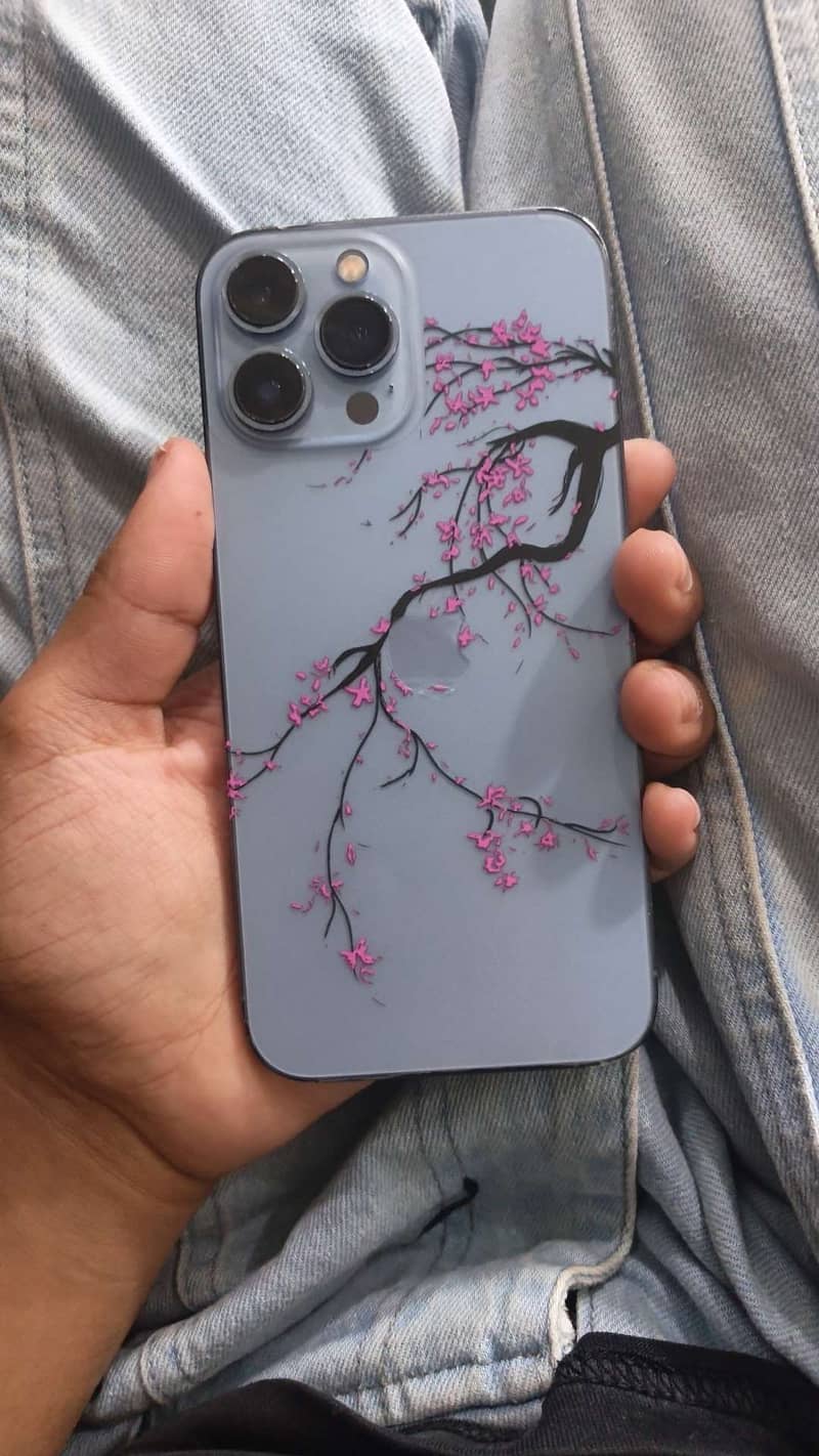 Apple iPhone 13 Pro Max 1