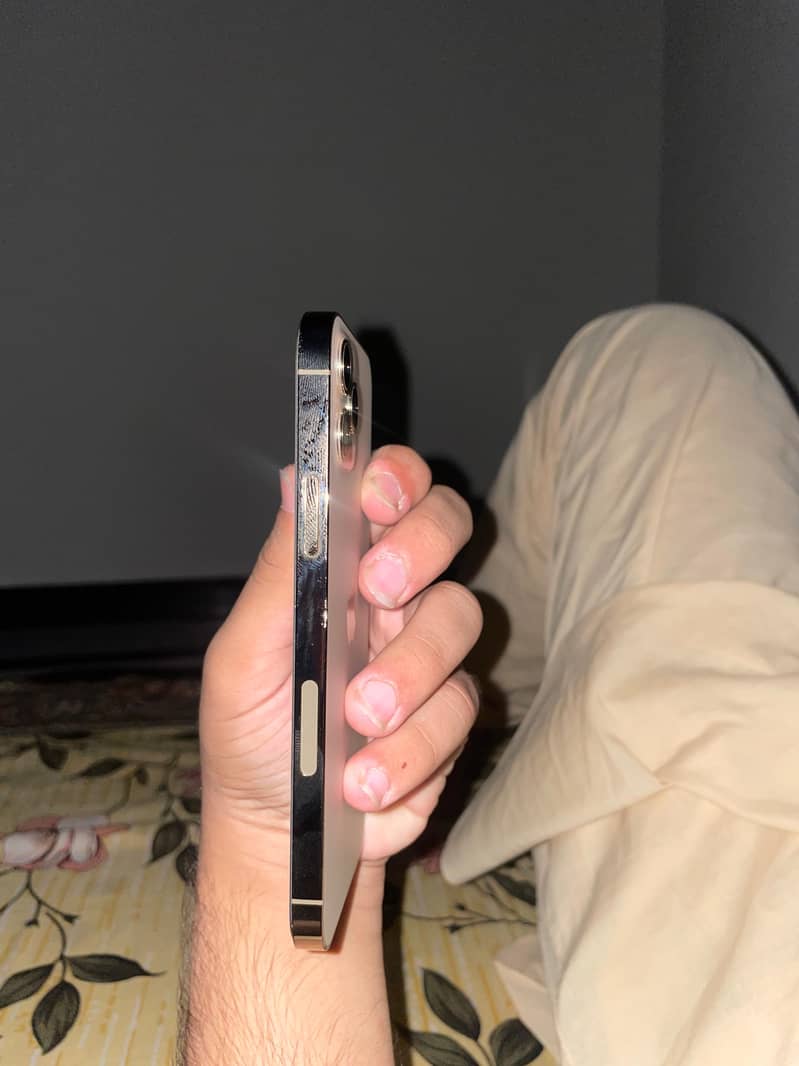 Apple iPhone 12 Pro 3