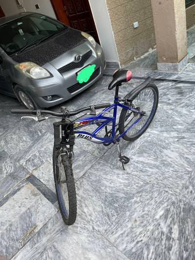 Plus bicycle