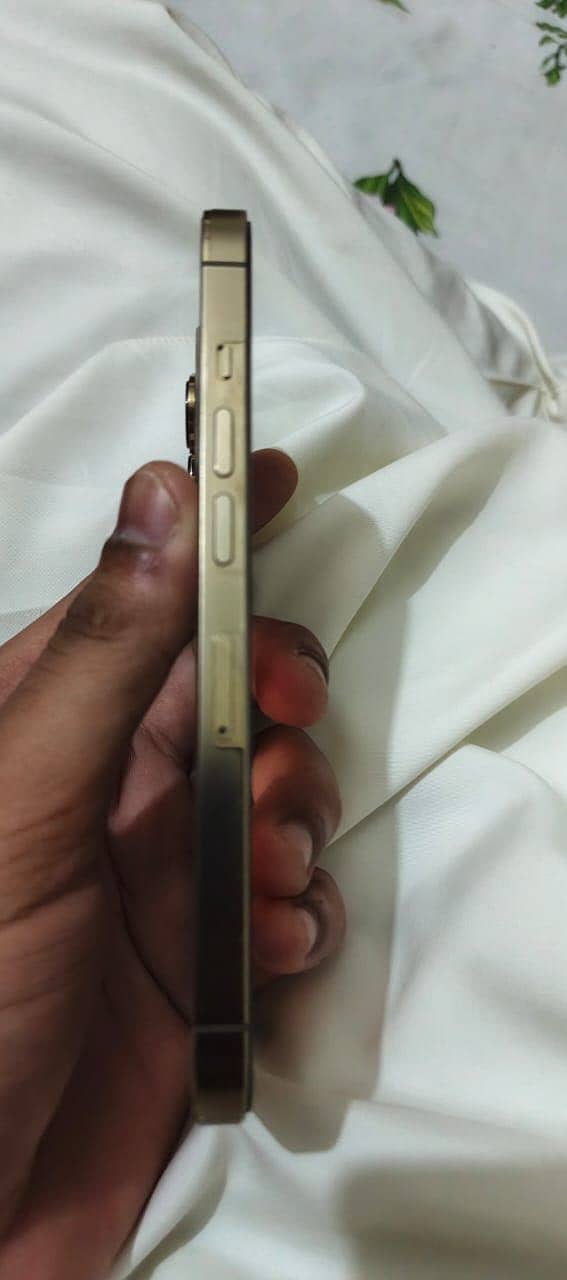 Apple iPhone 13 Pro 1