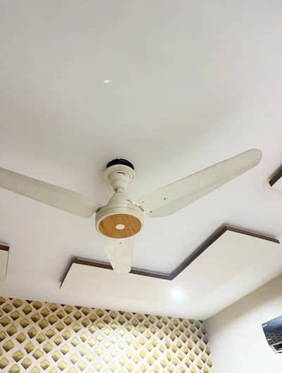 Lahore Fan - Slightly Used - Like Brand New Condition