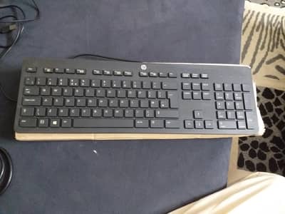 Branded wired Keyboard + wired mouse + HDMI Cable