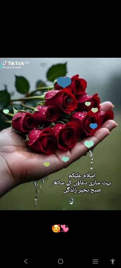 Manahil