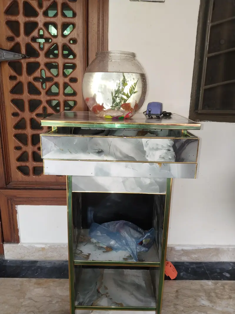 Fish Aquarium — photo 6
