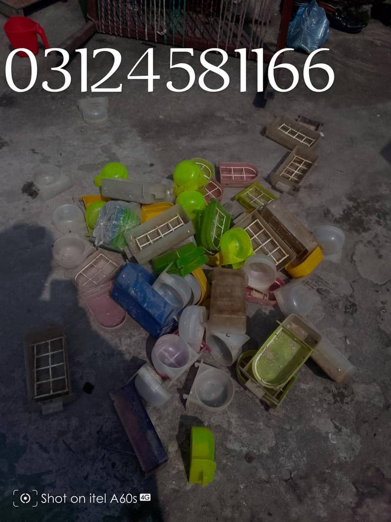parrots pots 0