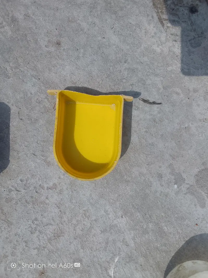 parrots pots — photo 3