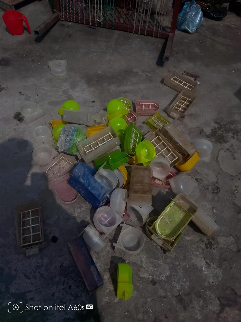 parrots pots — photo 8