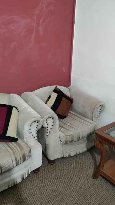 molty foam sofa