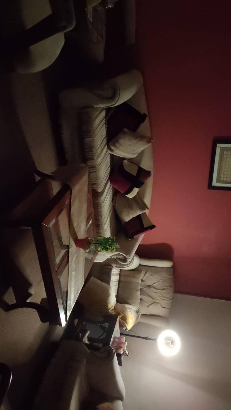 molty foam sofa 3