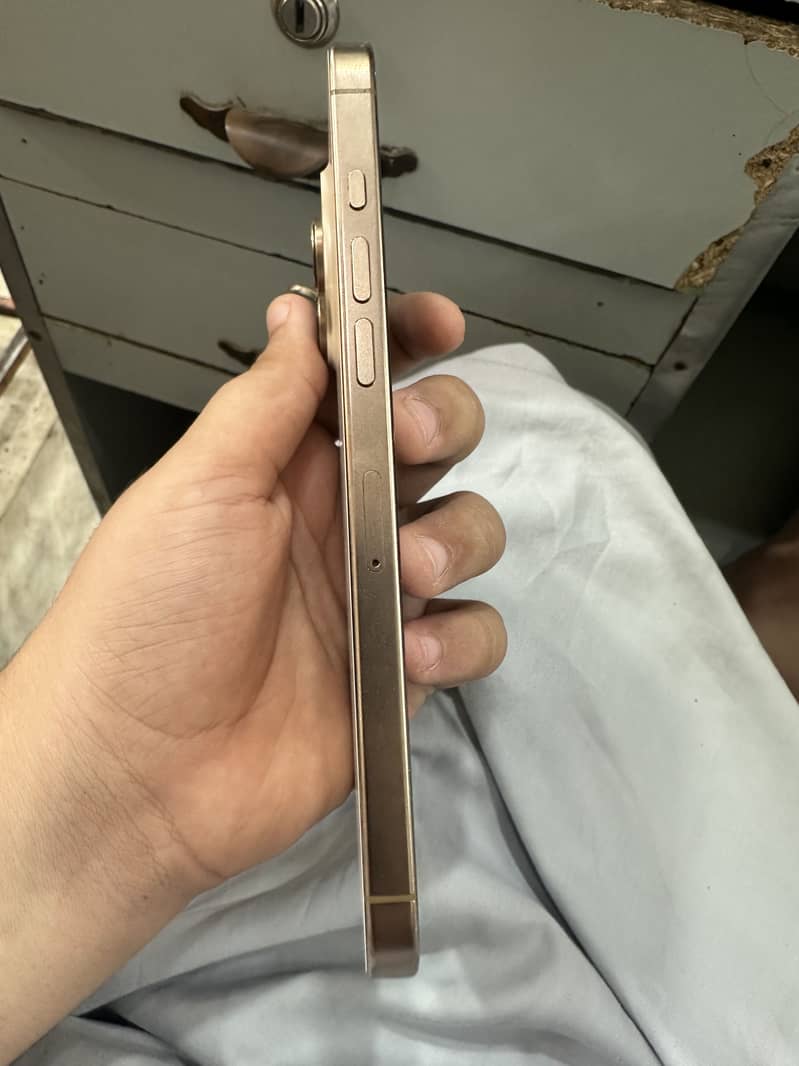 Apple iPhone 16 Pro Max 1