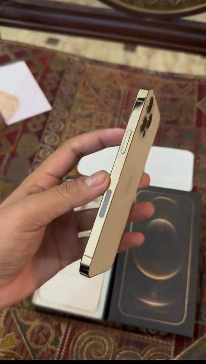 Apple iPhone 12 Pro Max 1