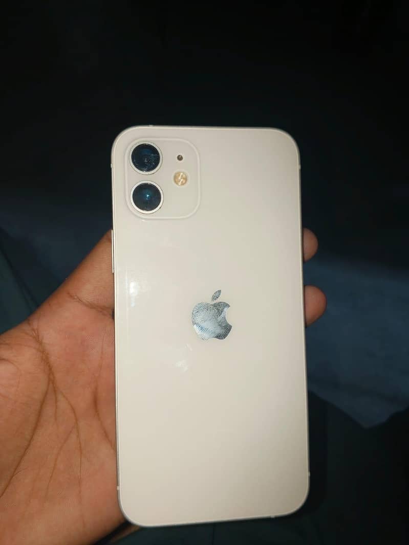Apple iPhone 12 1