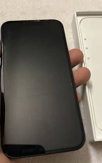 Apple iPhone 13