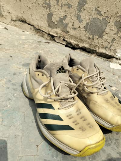 Original Addidas Cricket Spikes 22YD  Size UK 9