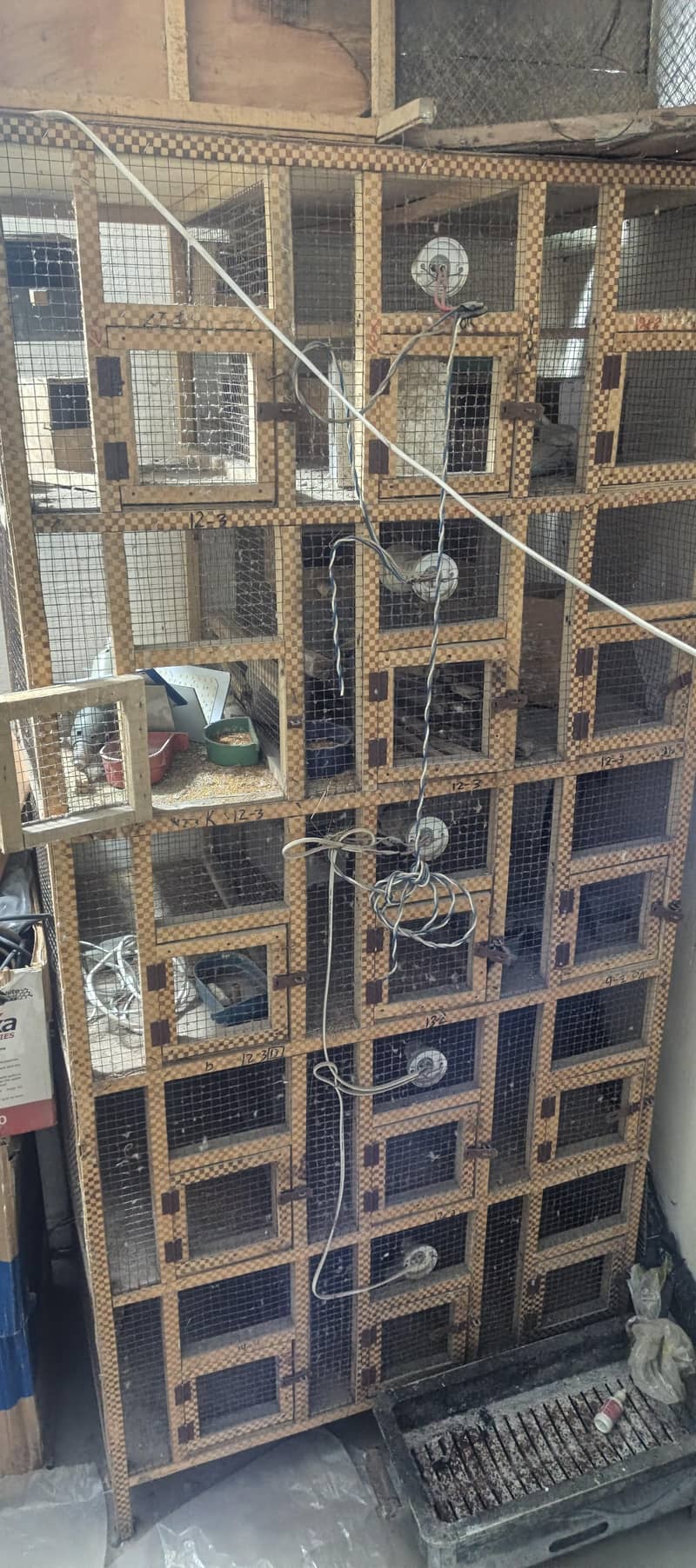 5 posttion cage Finch Goldman Java cage 1