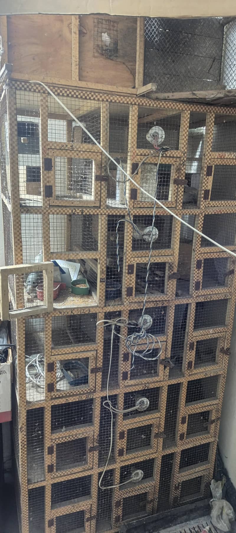 5 posttion cage Finch Goldman Java cage 2