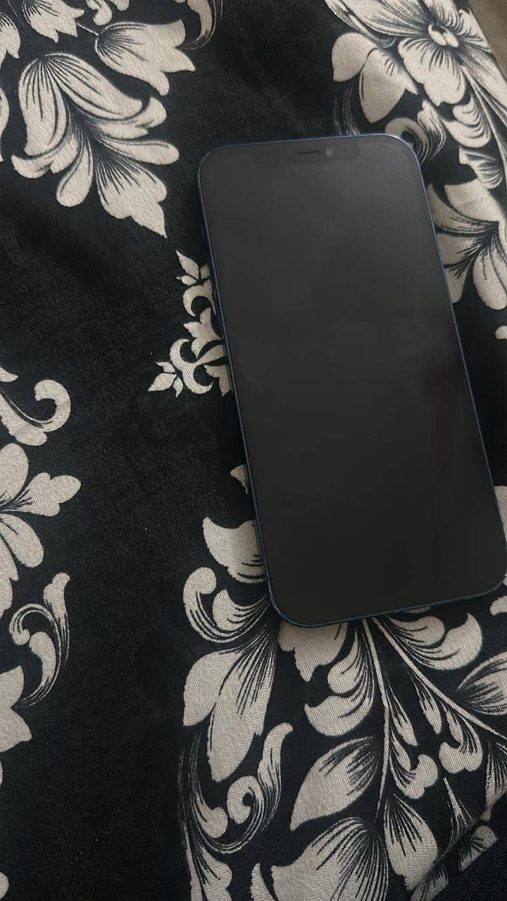 Apple iPhone 12 1