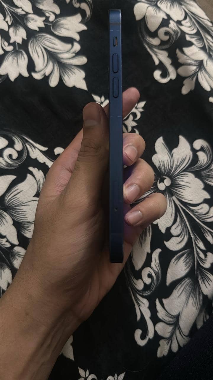 Apple iPhone 12 2